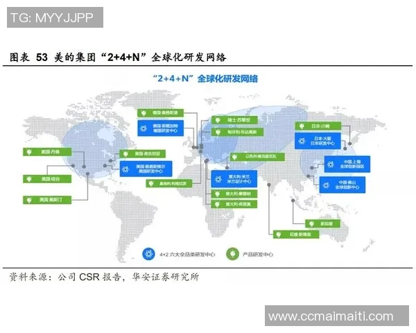 上海排球队技术分析与战术创新的深度探讨与展望