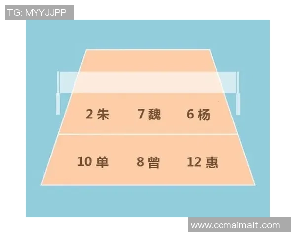 成都排球队战术表现深度分析与数据解读探讨
