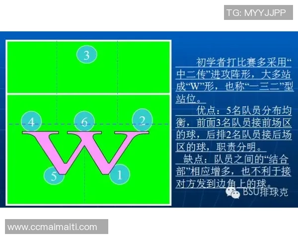 广州排球队的战术解析与技术控制深度剖析